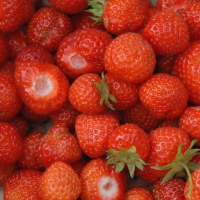 Erdbeeren - die rote Verführung