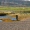Birdwatcher in the marshes, East Bank, Cley next the Sea